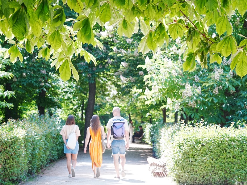 レティーロ公園・栃の木のトンネルを歩く人々