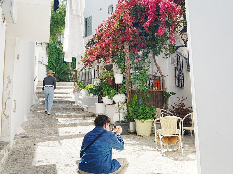 ダルト・ヴィラの石段の路地にピンクのブーゲンビリアが咲き・写真を撮る人と犬