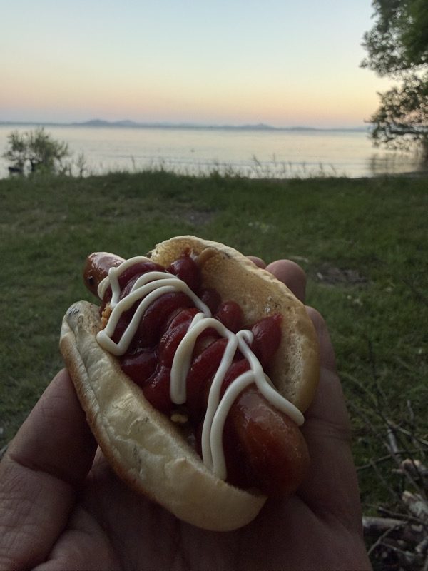 完成したホットドッグ