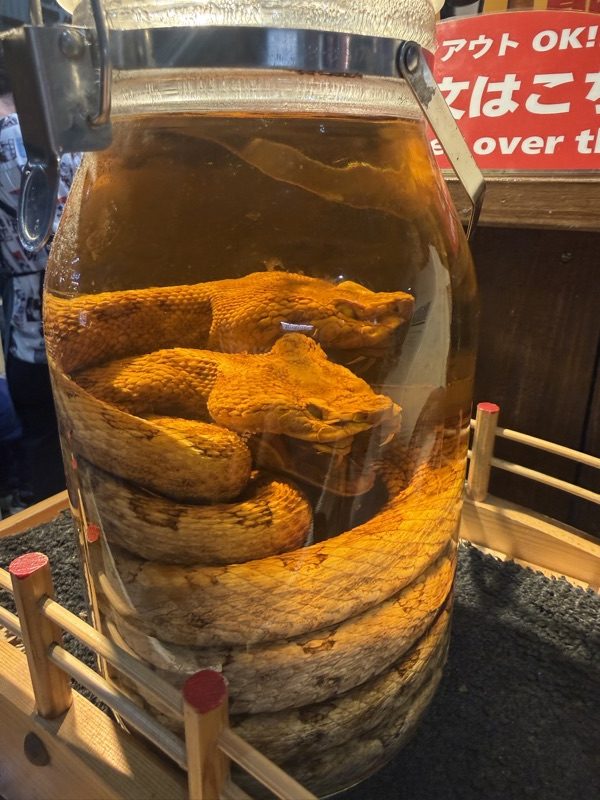 ガラスの大瓶に漬けられたハブ酒