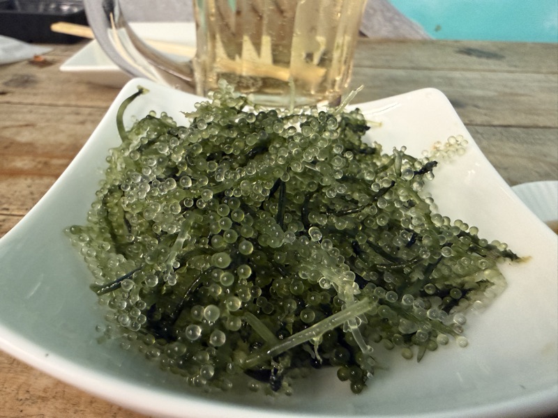 海ぶどうの小鉢と、オリオンビールの生
